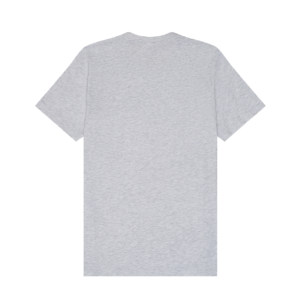 BELLA+CANVAS 3001 Ash 2