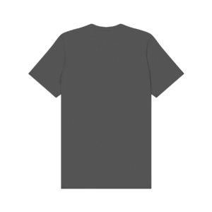 BELLA+CANVAS 3001 Asphalt 2