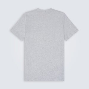 BC3001 Ash 2