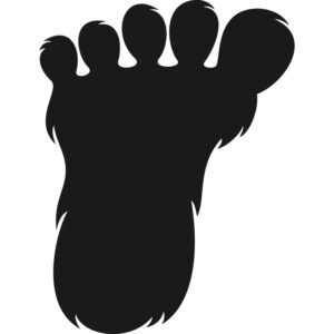 Bigfoot Print V1399595761b (Toucan SVG)