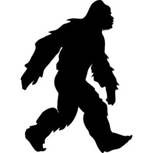 Bigfoot v8134017