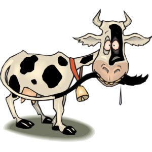 Cow V311266