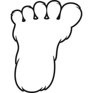 Bigfoot Print v1399595761a